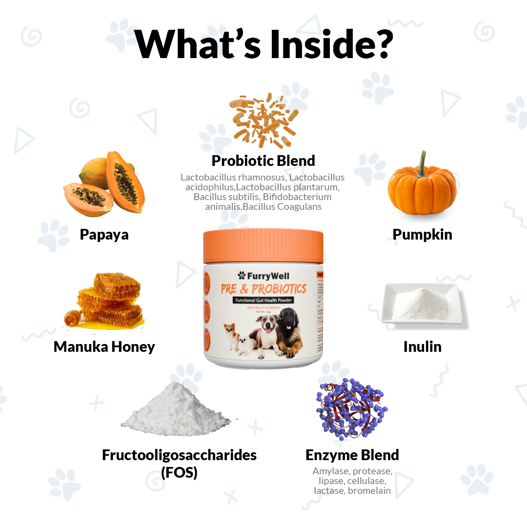 FurryWell | Pre & Probiotics (Gut)
