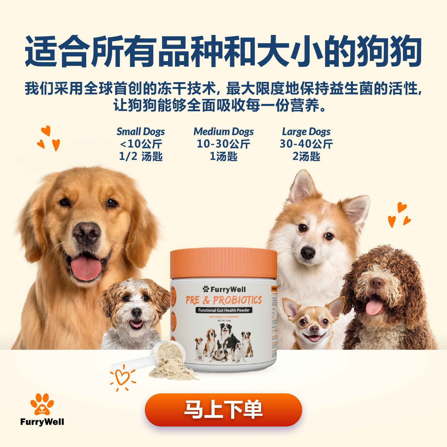 FurryWell 宠物益生菌