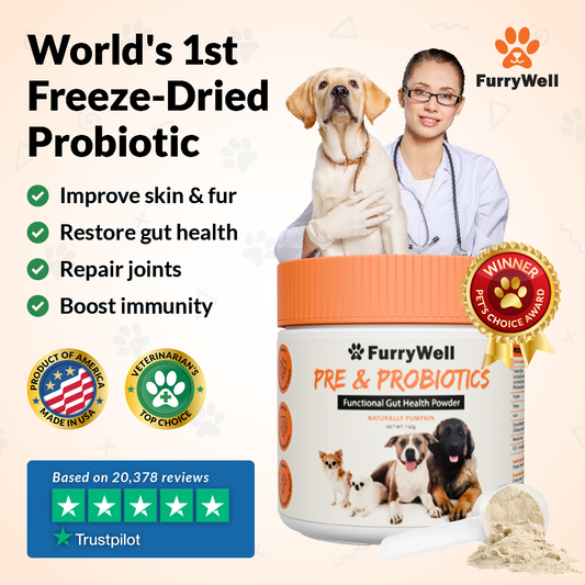 FurryWell | Pre & Probiotics