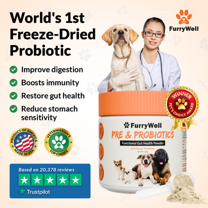 FurryWell | Pre & Probiotics (Gut)